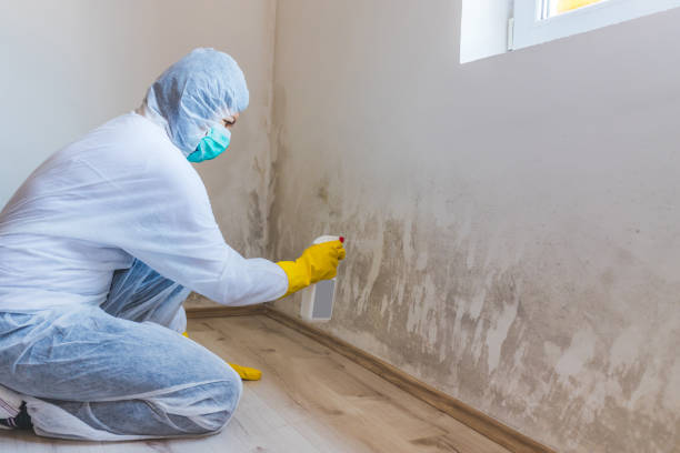 Mold inspector in Secaucus performing thermal imaging