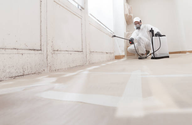 Post-remediation clearance in Secaucus