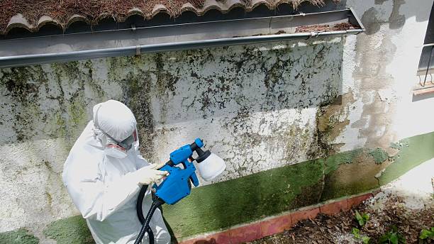 Mold Remediation service in Secaucus, Secaucus, NJ